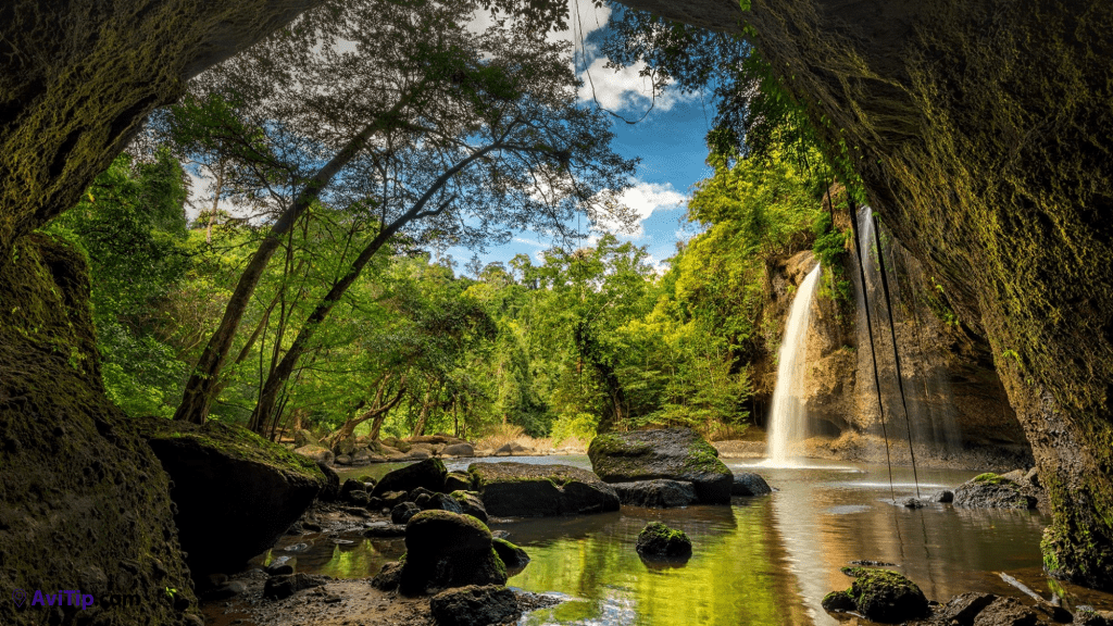 The Wildlife of Khao Yai National Park