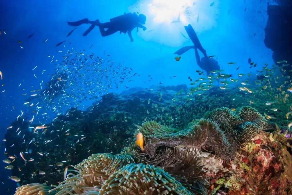 SENSATIONAL SCUBA DIVING AROUND PHUKET